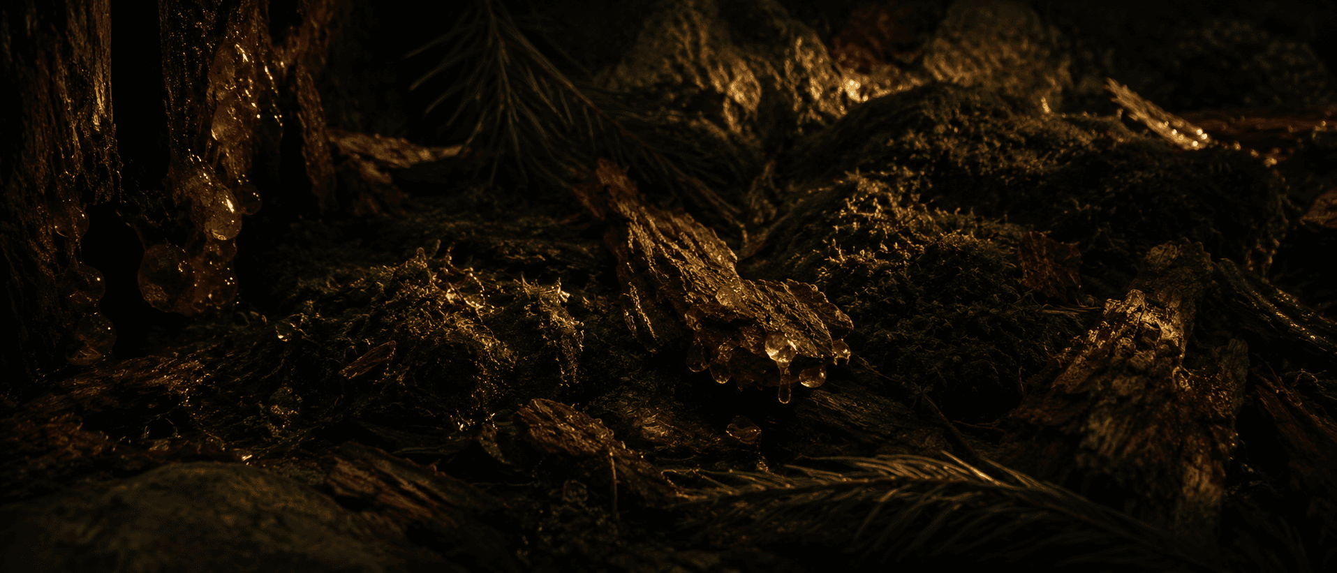 Fragrance notes background